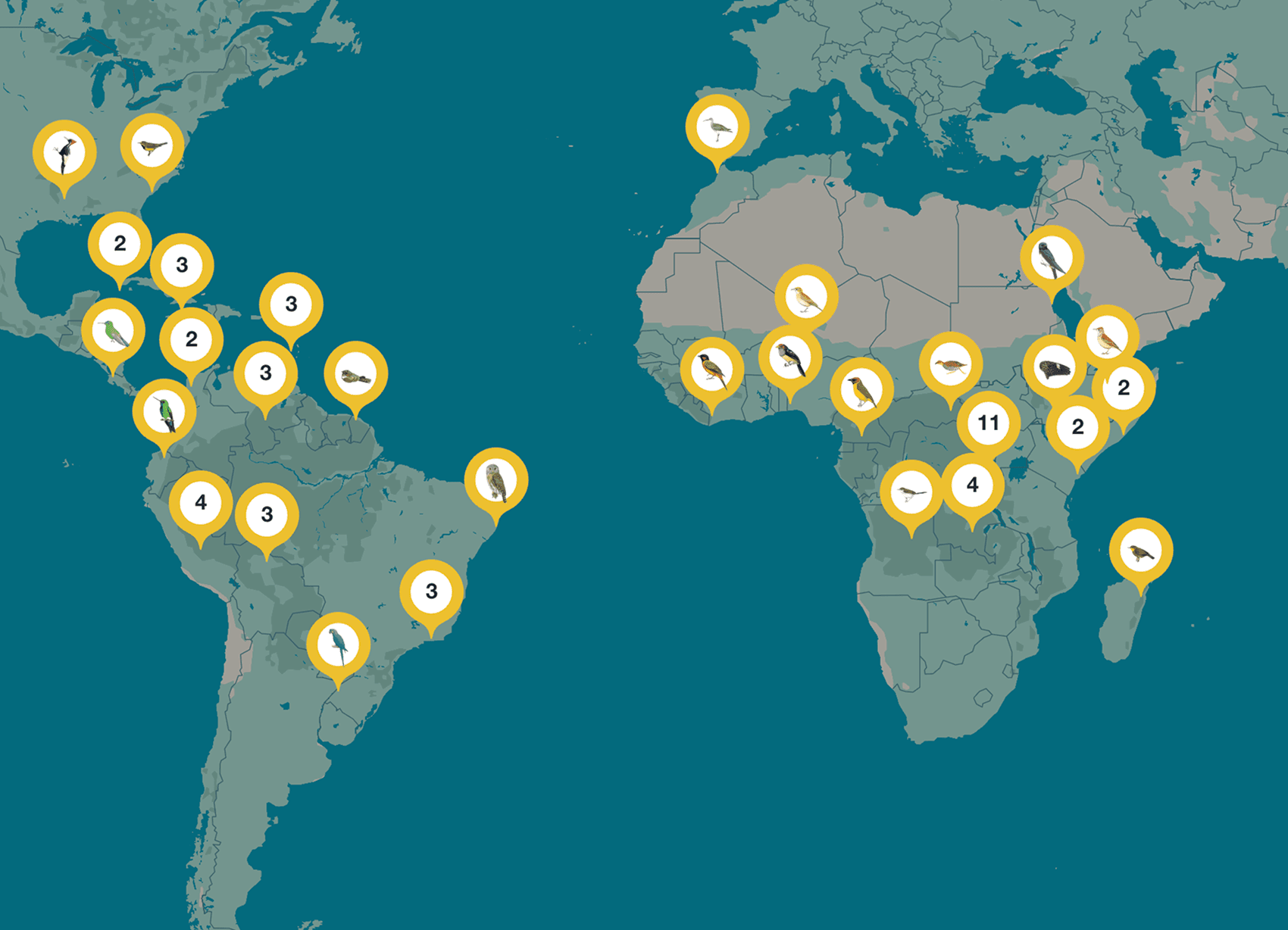 Small map of the world with icons indicating the locations of bird sightings.